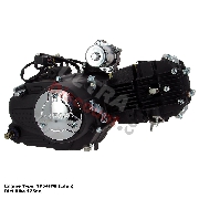 Motore Lifan per Pit  Bike 125cc 1P54FMI